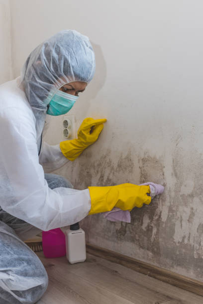  Aumsville, OR Mold Removal Pros