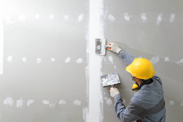 Environmental Consulting for Mold Prevention in Aumsville, OR